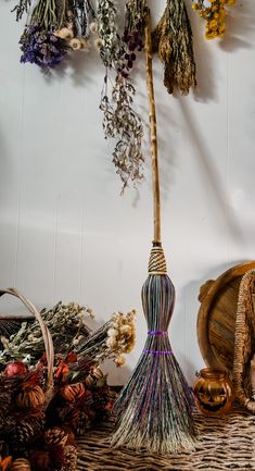 an assortment of dried flowers and plants on display