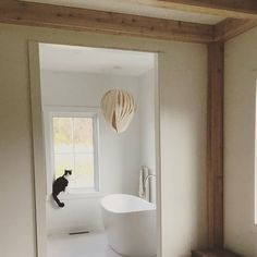 a cat sitting on the edge of a bathtub in a bathroom next to a window