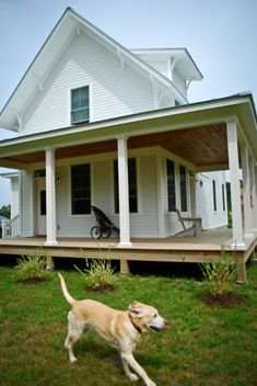 a dog running in front of a white house with porch and wraparound verard