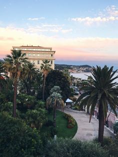 palm trees are in the foreground, and an apartment building is in the background