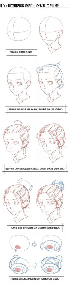 Anime Hair Drawing, Color Theory Art, Comic Tutorial, Drawing Tutorial Face, Best Anime Drawings, 얼굴 그리기, Human Anatomy Drawing