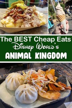 the best cheap eats at disney world's animal kingdom