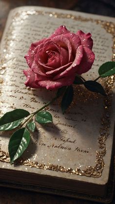 a pink rose sitting on top of an old book