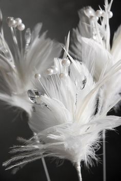 some white feathers and pearls on a black background