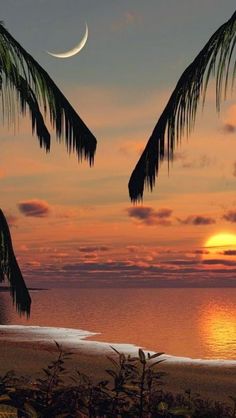 the sun is setting over the ocean with palm trees in front of it and a half moon