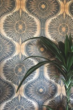 a potted plant sitting on top of a wooden table next to a wall paper