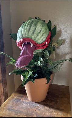 a potted plant with green leaves and purple flowers