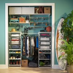 an organized closet with clothes, shoes and other items on shelves next to a potted plant