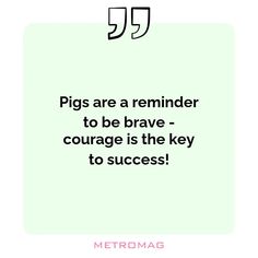 a quote that reads pigs are a reminder to be brave - courage is the key to success