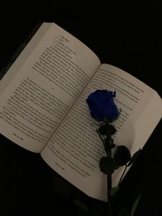 a blue rose sitting on top of an open book