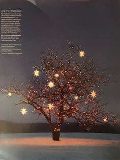 a lighted tree in the middle of a snowy field with stars on it's branches