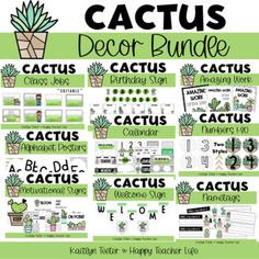 cactus themed classroom decor bundle for teachers