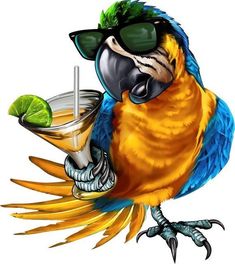 a blue and yellow parrot with sunglasses holding a drink in it's beak while standing on its hind legs