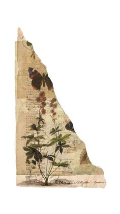 a piece of paper with flowers and butterflies on the top of it's map