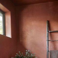 a bathroom with red walls and a ladder leaning against the wall next to a potted plant