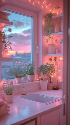 a kitchen sink under a window filled with potted plants next to a window sill