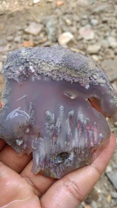 a hand holding a piece of rock with ice on it's surface and rocks in the background