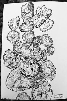 a black and white drawing of flowers in a vase on top of some rocks by itself