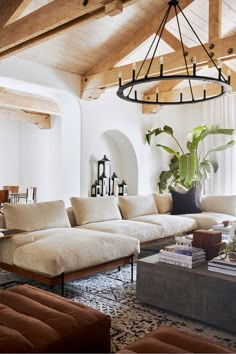 a living room filled with furniture and a large potted plant