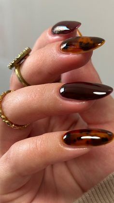 Trendy Brown Nails, Honey Nails, Fall Nail Color Ideas, Fall Nail Color, Brown Acrylic Nails, Brown Nails Design, Nail Color Ideas, Brown Acrylic, November Nails