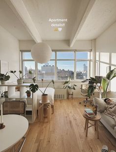 a living room filled with furniture and lots of windows next to a wooden floor covered in plants