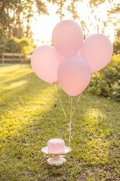 a pink cake sitting on top of a lush green field next to a bunch of balloons