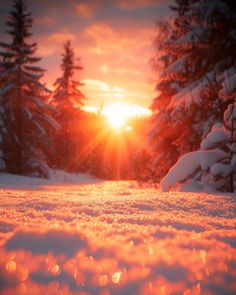 the sun is setting over some snow covered trees