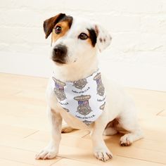 a dog sitting on the floor wearing a bandana and looking up at the camera