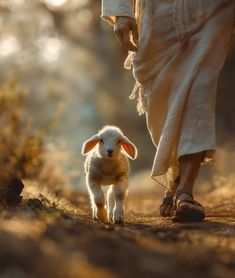 a person walking with a sheep in their hand