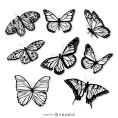 a bunch of butterflies flying in the air with black and white colors on it's wings