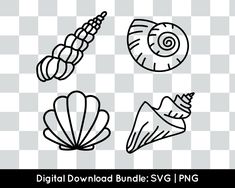 seashells and shells on a checkered background with the text digital bundle svg