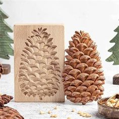 three pine cones are sitting next to each other in front of some small pine cones