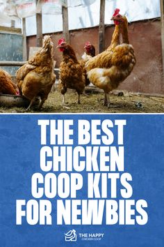 First-Time Buyer’s Guide to Chicken Coop Kits | The Happy Chicken Coop Ritz Chicken, Chicken Coop Kit, Coop Design, Best Chicken Coop, Diy Chicken Coop