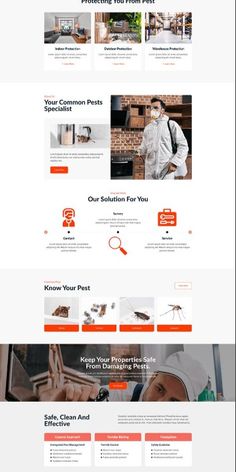 an image of a website design for a furniture store