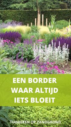 an image of a garden with flowers and plants in the background text reads een border waar altid let's bloeit