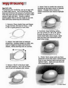 how to draw an egg in stages