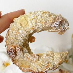 a person holding up a powdered sugar covered doughnut