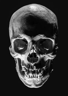 a black and white photo of a human skull