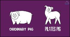 two pigs standing next to each other on a purple background