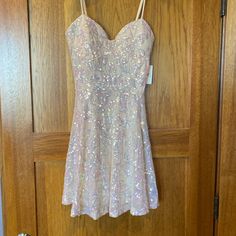 Nwt Nude/ Pale Pink Dress Suitable For Homecoming Or Any Other Formal Dance. Adjustable Straps, Zipper Back, Padded Bra Area And Has Liner. Dresses Windsor, Pale Pink Dress, Formal Dance, Windsor Dresses, Padded Bra, Padded Bras, Homecoming Dress, Pale Pink, Windsor