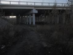 a bridge over a dirt road next to a field with grass and weeds on the ground