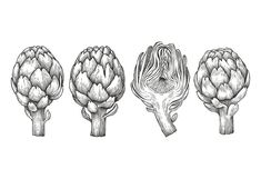 three artichokes are shown in black and white, one is drawn to look like