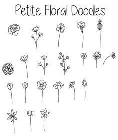 the pettic floral doodles are drawn in black and white, with flowers on each side