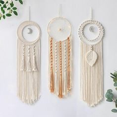 three dream catchers hanging on the wall