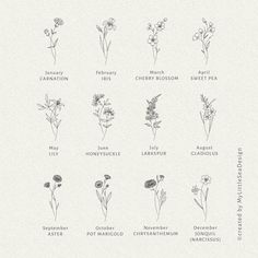 an image of flowers that are labeled in the language of their names and meaningss