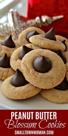 peanut butter blossom cookies on a white plate