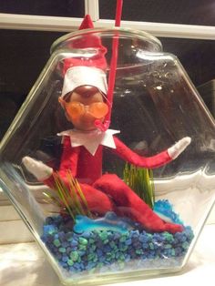 an elf is sitting in a fish bowl