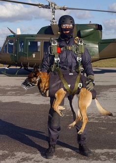 a man in full gear carrying two dogs on his back while standing next to an airplane