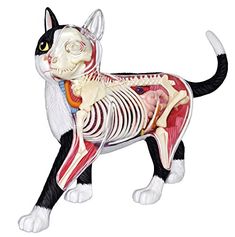 a black and white cat figurine with the skeleton in it's chest