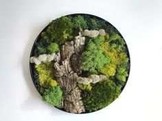 a plate that has some trees on it